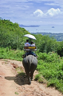 Riding elephants in the Chalong Highlands, Phuket, Thailand, Southeast Asia, Asia