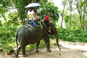 Riding elephants in the Chalong Highlands, Phuket, Thailand, Southeast Asia, Asia