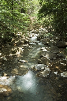 Shades Prints: Rincon de la Vieja National Park at foot of Rincon Volcano, Gaunacaste, Costa Rica