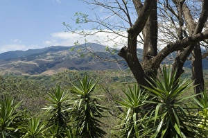 Images Dated 31st January 2000: Rincon Volcano from the Hacienda Guachipelin, near Rincon de la Vieja National Park
