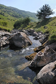 Images Dated 16th July 2009: Rio Aragon Subordan in the upper Hecho valley in summer, Huesca, Aragon, Spain, Europe