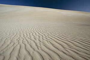 Ripple Prints: Ripples in sand dunes at Little Sahara on south coast, Kangaroo Island