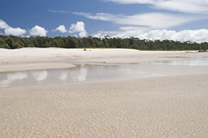 Images Dated 18th February 2008: Ripples of water on beach, Ben Boyd National Park, New South Wales, Australia. Pacific