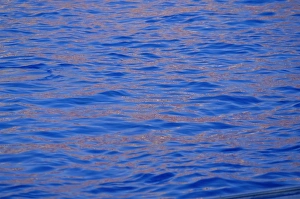 Ripples Prints: Ripples in water reflecting light and blue sky