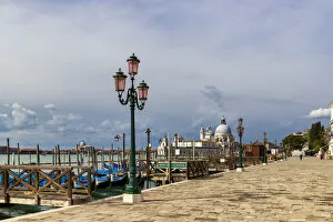Lagoon Gallery: The Riva degli Schiavoni with typical green street lamps and gondola moorings, Venice