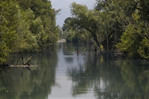 Epiros Prints: River Acheron, thought to be the river Styx, the River of the Dead in Greek legend
