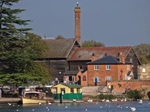 Stratford Prints: River Avon, Stratford-upon-Avon, Warwickshire, England, United Kingdom, Europe