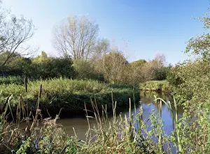 Berkshire Prints: River Blackwater, forms the boundary to Moor Green Lakes nature reserve
