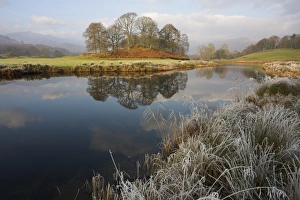 River Brathay in winter, near Elterwater, Lake District, Cumbria, England