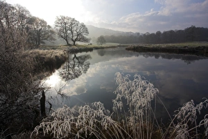 River Brathay in winter, near Elterwater, Lake District, Cumbriar River Brathay in winter, near Elterwater, Lake District, Cumbriar