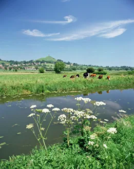 Somerset Levels Prints: River Brue with Glastonbury Tor in the distance, Somerset, England, United Kingdom