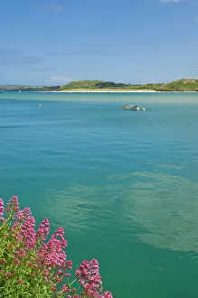 Flowers Prints: River Camel estuary, North Cornwall, England, United Kingdom