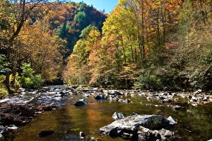 Autumn Gallery: River and colourful foliage in the Indian summer, Great Smoky Mountains National Park