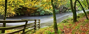 Autumnal Prints: River Dart, Dartmoor National Park, Devon, England, United Kingdom, Europe