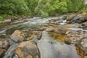 Sights Prints: River Dart flows around boulders and through woodland in Dart Valley National Nature Reserve in Devon