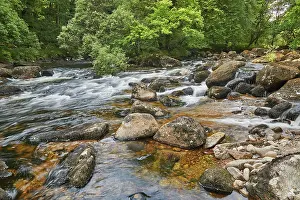 Boulders Prints: River Dart flows around boulders and through woodland in Dart Valley National Nature Reserve near Dartmeet in Devon