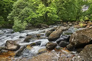 Ripples Prints: River Dart flows around boulders and through woodland in Dart Valley near Dartmeet in Devon
