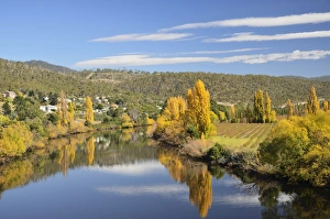 Fall Season Prints: River Derwent near New Norfolk, Tasmania, Australia, Pacific