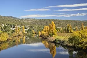 Images Dated 25th April 2011: River Derwent near New Norfolk, Tasmania, Australia, Pacific