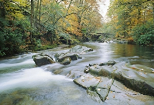 Autumnal Leaves Prints: The River Esk, Eskdale, Lake District National Park, Cumbria, England, UK