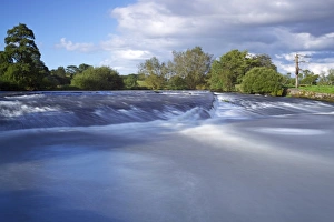 River Exe near Brampford Speke, Devon, England, United Kingdom, Europe