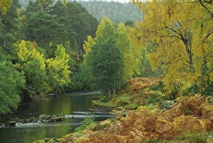 Highland Region Prints: River Farrar