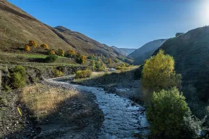 Quiet Prints: River flows through a valley featuring grass and trees in Dagestan, Russia