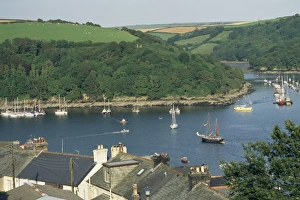Fowey Prints: River Fowey and forest area of Hall Walk, Q monument visible through trees