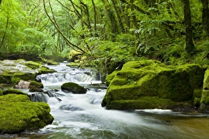 Looe Prints: River Fowey, Goliath Falls, Looe, Cornwall, England, United Kingdom, Europe