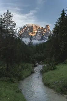 Pine Tree Prints: River in the green valley with Cristallo and Popena group in the background at sunset