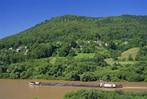 Elbe Prints: River Labe (Elbe), Czech Republic, Europe