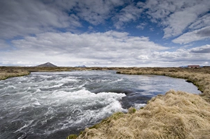 River Laxa flowing out of Lake Myvatn, Skutustaoir near Reykjahlid, Iceland