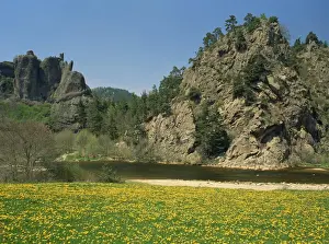 Loire Prints: The River Loire in spring with wild flowers on bank and cliffs behind, near Arlempdes