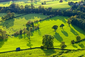 Green Colour Prints: River Manifold Valley near Ilam, Peak District National Park, Derbyshire, England