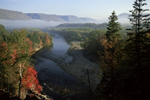 Autumnal Leaves Prints: River in Margaree Valley, Cape Breton, Canada, North America