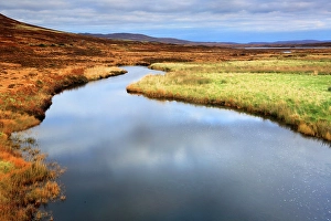 Grassy Prints: River and moorland, Sutherland, Highlands, Scotland, United Kingdom