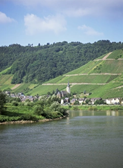 River Mosel