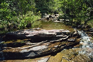 River near the Indian village of Kavak