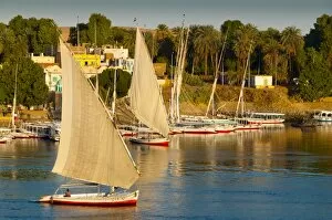 Images Dated 26th December 2009: River Nile, Aswan, Upper Egypt, Egypt, North Africa, Africa