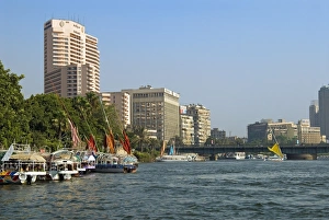 Images Dated 11th July 2008: River Nile, Cairo, Egypt, North Africa, Africa
