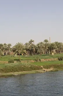 River Side Prints: The River Nile near Aswan, Egypt, North Africa, Africa