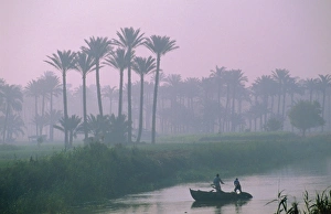 Fisherman Prints: River Nile near Memphis, Egypt, North Africa
