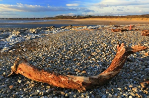 Beachcombing Prints: River Ogmore estuary, Ogmore-by-Sea, Bridgend, South Wales, United Kingdom