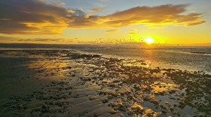 Flat Prints: River Ogmore estuary, Ogmore-by-Sea, Bridgend, South Wales, United Kingdom