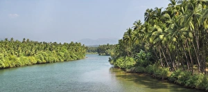 Wide Angle View Prints: River at Palolem, Goa, India, Asia