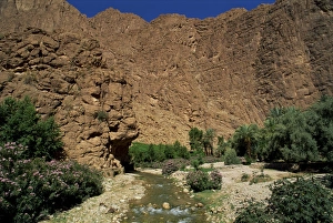 Rock Cliff Prints: River below rock cliffs