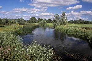 County Tipperary Prints: River Suir