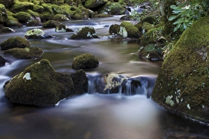 River Teign, Dartmoor National Park, Devon, England, United Kingdom, Europe