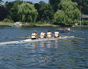 Rowing Boat Prints: River Thames at Henley on Thames, Oxfordshire, England, United Kingdom, Europe