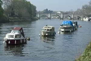 Images Dated 3rd April 2009: River Thames at Richmond, Surrey, England, United Kingdom, Europe